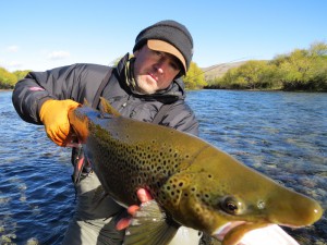 Brown wild trout